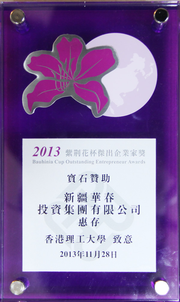 2013紫荆花杯杰出企业家